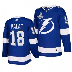 Ondrej Palat Lightning 2020 Stanley Cup Champions Jersey Blue Authentic Home - Sale