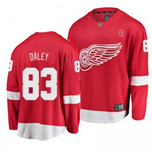 Red Home Breakaway Player Jersey Trevor Daley Red Wings - Sale